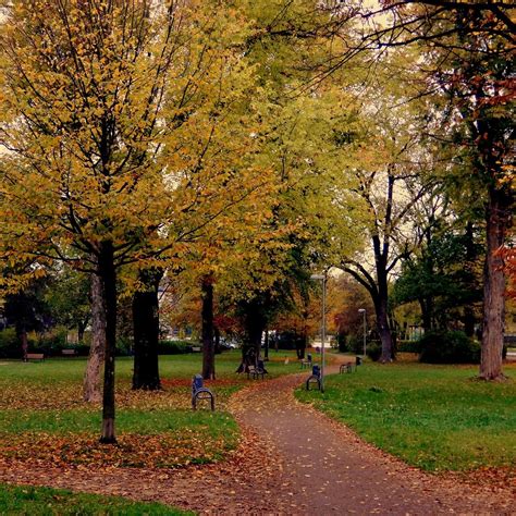 LUITPOLDPARK - All You Need to Know BEFORE You Go 2026 (with Photos ...