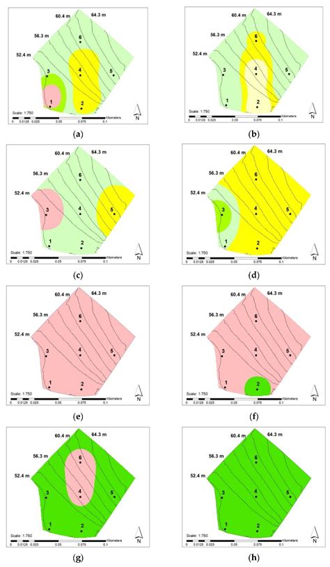 Grassland Reseeding: Impact on Soil Surface Nutrient Accumulation and ...