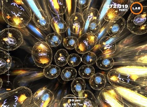 Science Behind Visualization 的图像结果