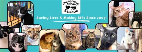 CARs sale & raffle at Trinity Lutherans 45th annual craft fair, Trinity ...