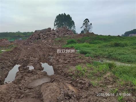 农民基本农田被毁坏-群众呼声-四川省网上群众工作平台-内江市委书记