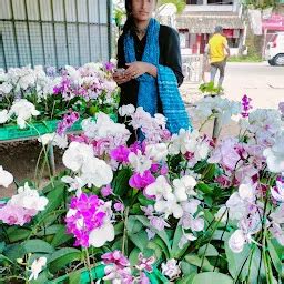 Plants world mannuthy - Garden center - Thrissur - Kerala | Yappe.in