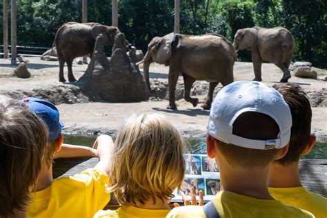 One Wild Year at the Pittsburgh Zoo & Aquarium - Pittsburgh Zoo & Aquarium