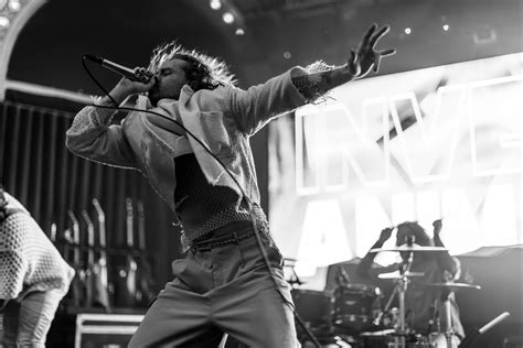 Invent Animate Autograph 的图像结果