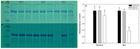 Effect of Water Stress during Grain Filling on Yield, Quality and ...