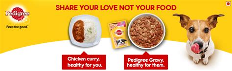 Pedigree Puppy Wet Dog Food, Chicken Chunks in Gravy, 30 Pouches (30 x ...