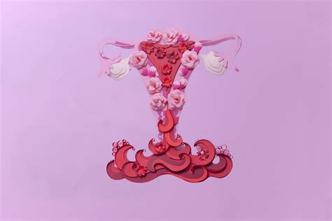 Understanding Vaginal Bleeding - 2meClinic