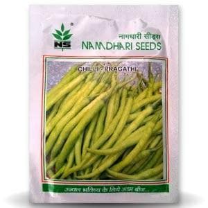 Pragathi Chilli Seeds -Namdhari | F1 Hybrid | Buy Online at Best Price ...