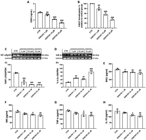 EZH2 Inhibition to Counteract Oral Cancer Progression through Wnt/β ...