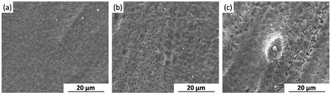 In Vitro Corrosion Study of Friction Stir Processed WE43 Magnesium ...