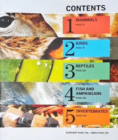 Encyclopedia of Animals - a Family Reference Guide – Books and You