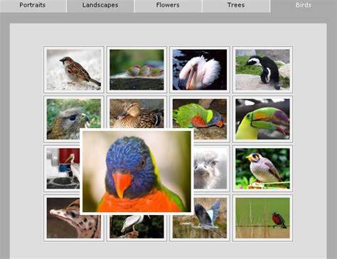 Image result for Pure CSS Hack
