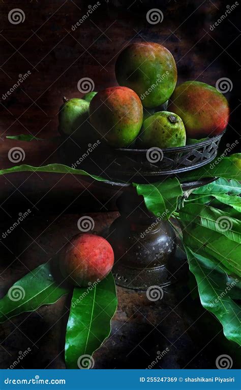 Fresh Red and Green Color Mangoes with Antique Plate Stock Image ...