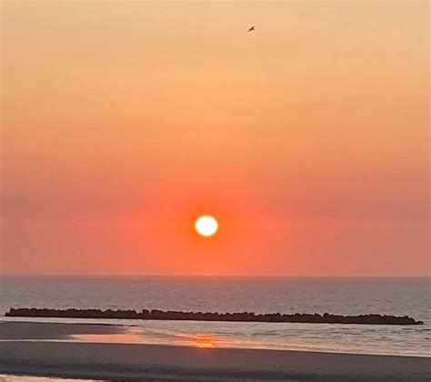 LE MERVEILLEUX (Dunkirk) - Inn Reviews, Photos, Rate Comparison ...