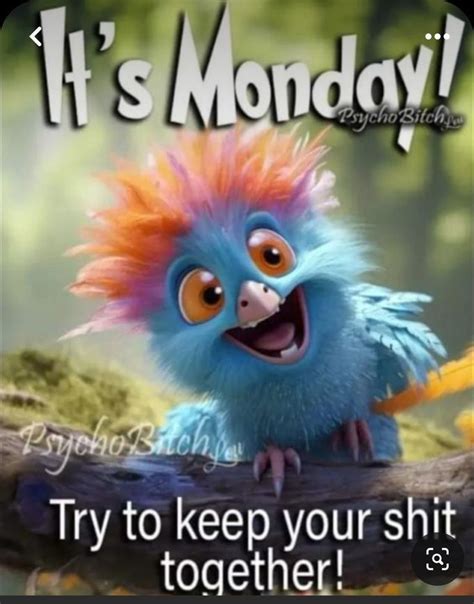 99+ Funny Monday Images 😂 (Good Morning, Happy Monday!) | Funny good ...