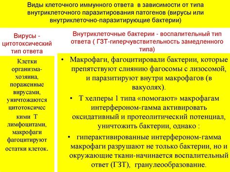 Клеточный иммунный ответ. Основные популяции клеток и механизмы их ...