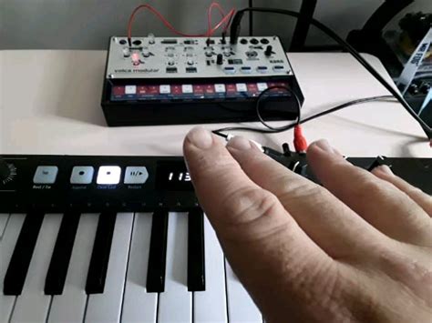 Volca Modular Demo 的图像结果