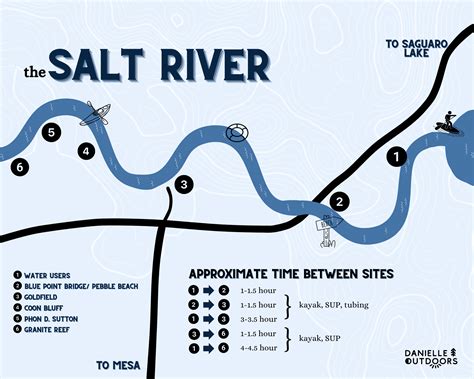 Everything You Need to Know About The Salt River in Arizona