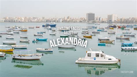 10 Lively Facts About Leopard Seals - Fact City