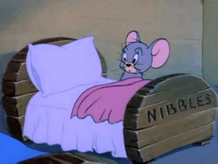 梦见老鼠在床上什么意思 梦见老鼠在床上是怎么回事_知秀网