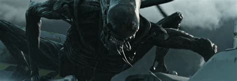 Image result for Alien Covenant Torrents