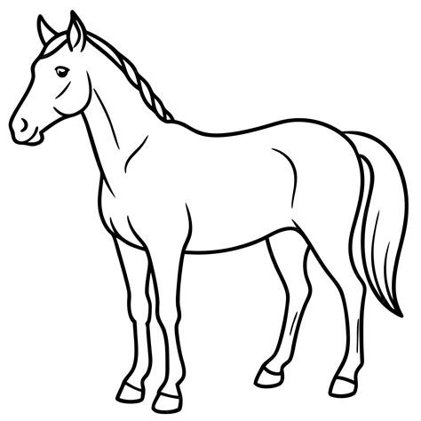 Outline Of Horse