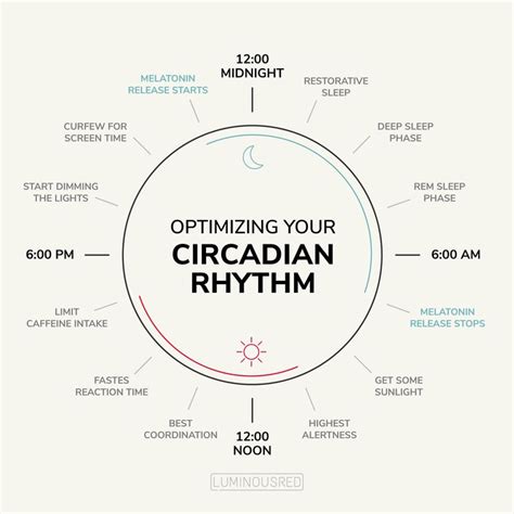The Circadian Rhythm is our internal 24-hour clock that determines our ...