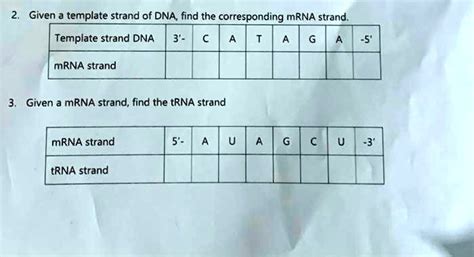 SOLVED: Given template strand of DNA find the corresponding mRNA strand ...
