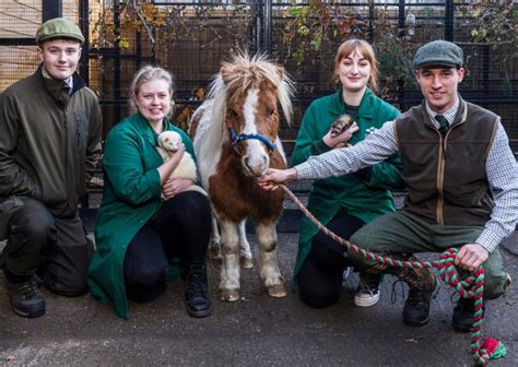 Scottish Agricultural College (Scotland's Rural College) (Perthshire ...