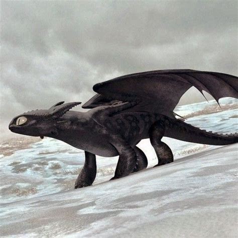 Image result for Toth Less