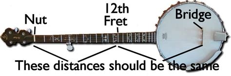 How to String a 4 String Banjo 的图像结果