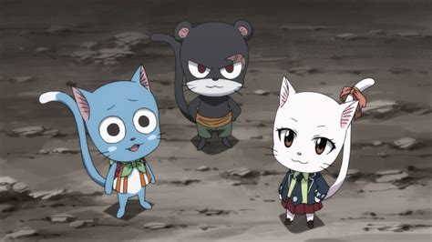 Fairy Tail 2018 Episode 07 (284) | Fairy tail cat, Fairy tail tumblr ...