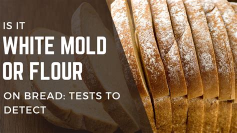 White Mold or Flour on Bread: Tests to Detect - FOODANDKITCHENAPPLIANCES