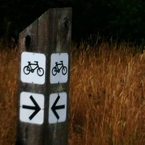 BAJA BROS BIKES (2024) All You Need to Know BEFORE You Go (with Photos ...