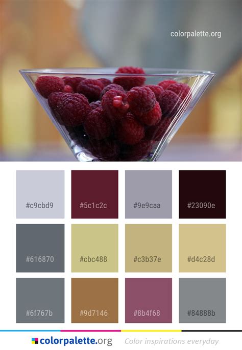 Image result for Raspberry Color Palette