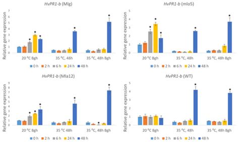 Near-Isogenic Barley Lines Show Enhanced Susceptibility to Powdery ...