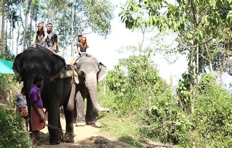 Elephant Junction — Spend quality time with elephants