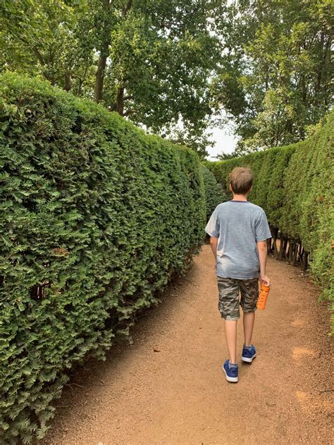 ADHD Calendar 的图像结果