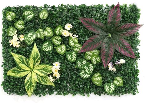 Order Vertical Garden Ag online in Hyderabad
