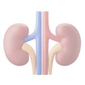 Best Hospitals in Mangalore | Unity Hospital Mangalore | Top Hospitals ...