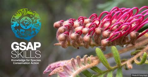 Image result for Key Features of GSAP