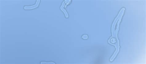 Image result for Eye Floaters Under Microscope