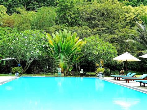 Nooit Gedacht Heritage Hotel Pool: Pictures & Reviews - Tripadvisor