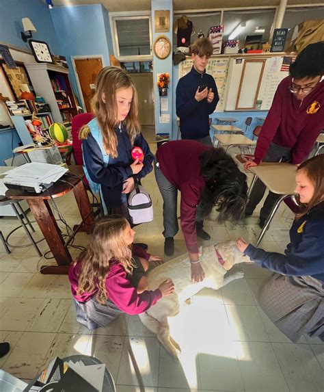 Zinnia Makes A Smash Debut At Bishop Gibbons High School. The Queen Of ...