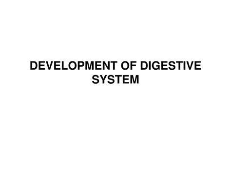 Image result for Development of Digestive System Questions