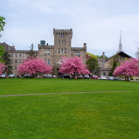 Manhattanville College