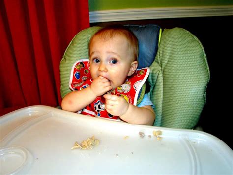 Baby-led Weaning Book - The Journey of Parenthood...