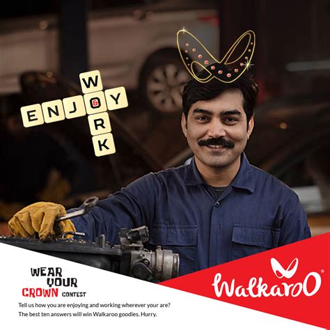 Walkaroo Digital | Digital Marketing Agency in Calicut | Curious Cat Ideas