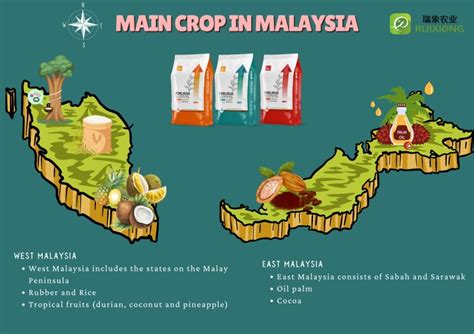 Malaysia Agriculture 的图像结果