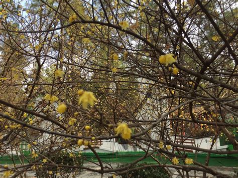 ANJI BAMBOO EXPO PARK (2026) All You Need to Know BEFORE You Go (with ...